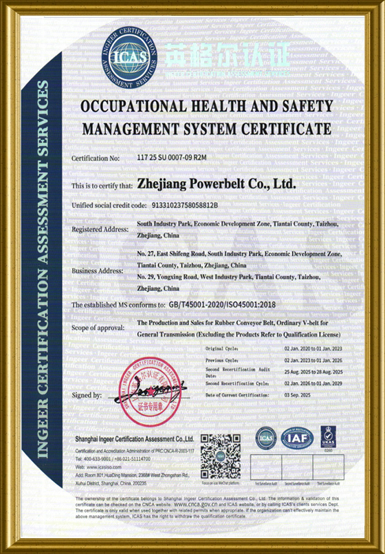 ISO 45001 occupational health and safety management system certificate