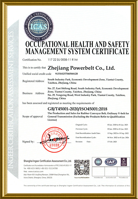  Occupational Health and  Safety Management System