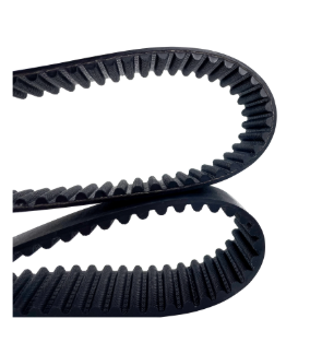 Timing Belts